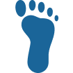 Blue Water Footprint